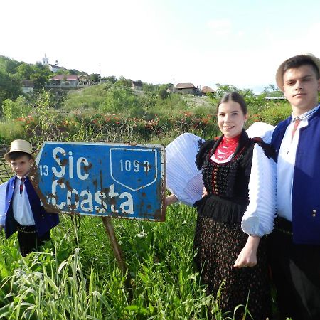 Csipkeszeg Bed & Breakfast Sic / Szek Romania Eksteriør bilde