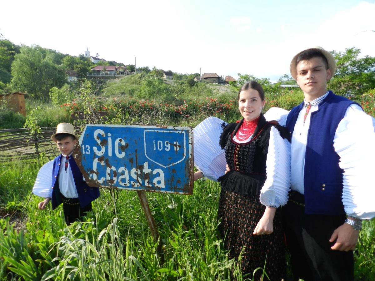 Csipkeszeg Bed & Breakfast Sic / Szek Romania Eksteriør bilde