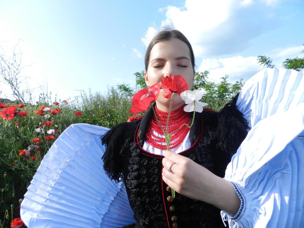 Csipkeszeg Bed & Breakfast Sic / Szek Romania Eksteriør bilde