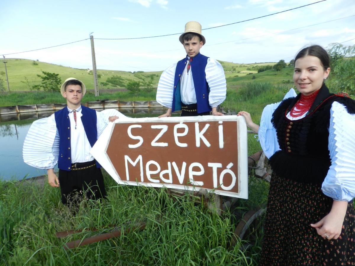 Csipkeszeg Bed & Breakfast Sic / Szek Romania Eksteriør bilde