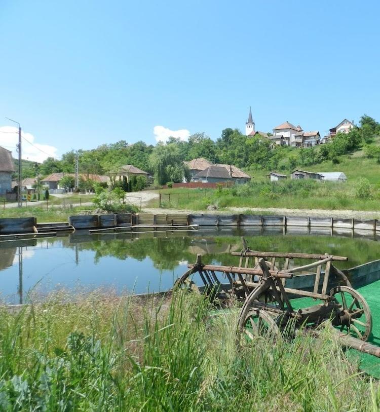 Csipkeszeg Bed & Breakfast Sic / Szek Romania Eksteriør bilde