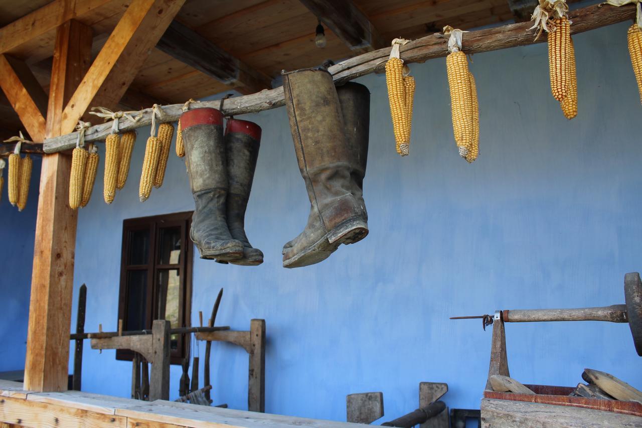 Csipkeszeg Bed & Breakfast Sic / Szek Romania Eksteriør bilde