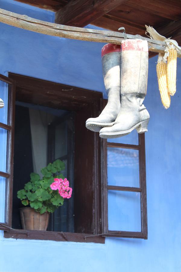 Csipkeszeg Bed & Breakfast Sic / Szek Romania Eksteriør bilde